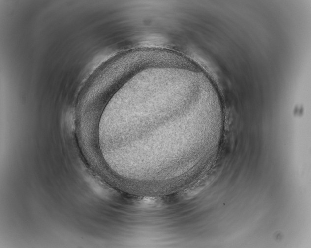 X0000099230060200805221844