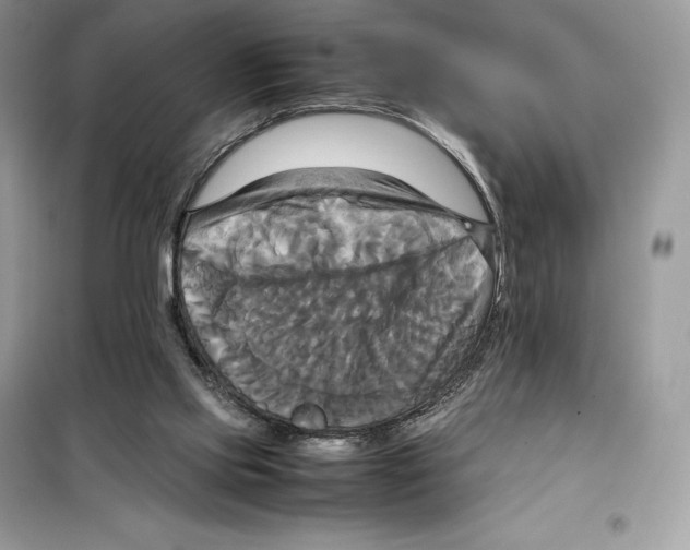 X0000099230061200805221844