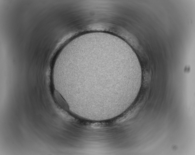 X0000099230064200805221844