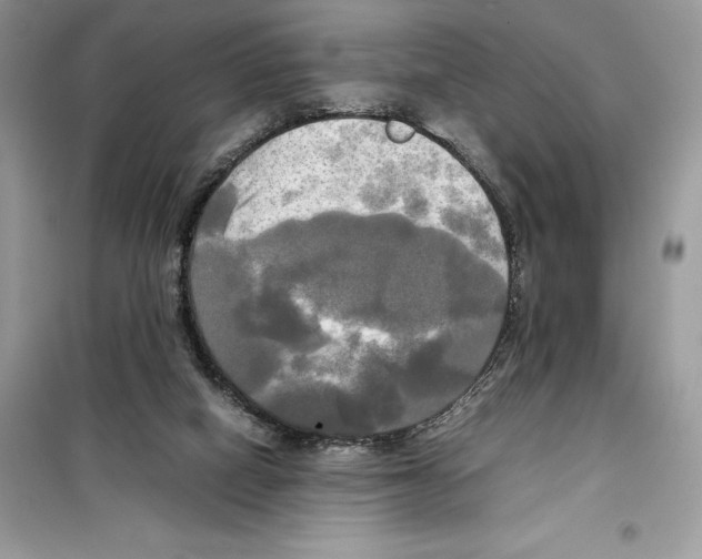 X0000099230066200805221845