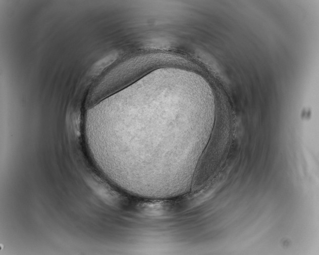 X0000099230068200805221845