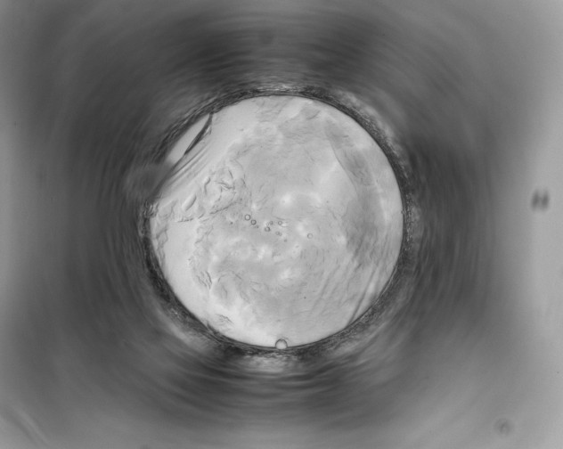 X0000099230069200805221845