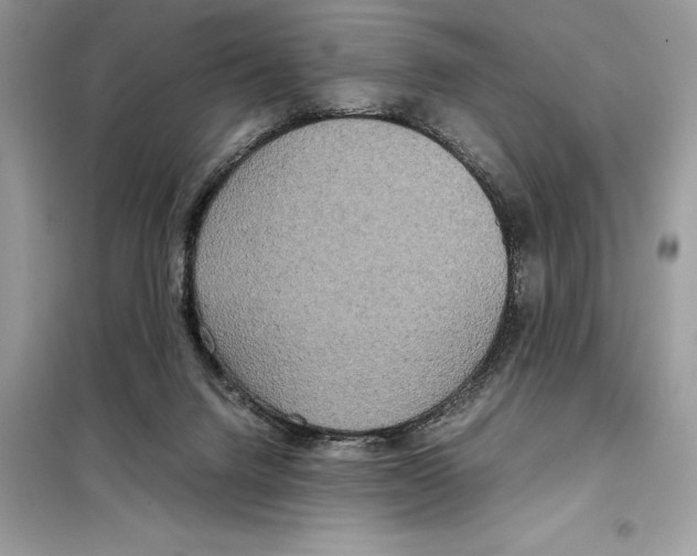 X0000099230072200805221845