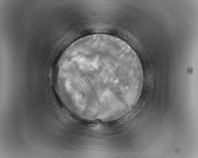 X0000099230074200805221845