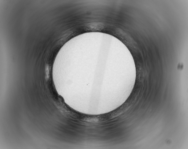 X0000099230075200805221845