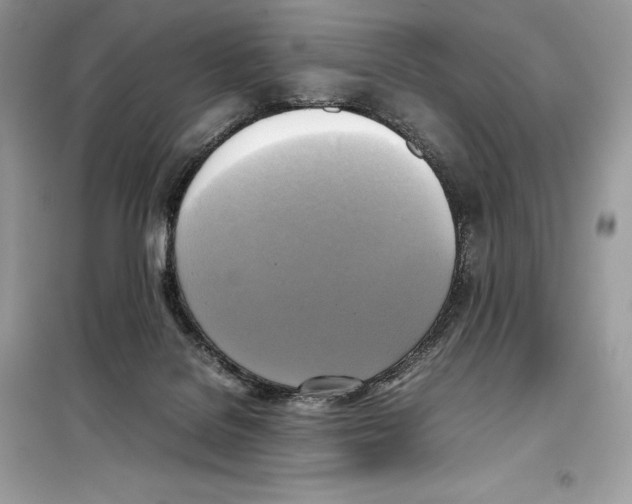 X0000099230076200805221845