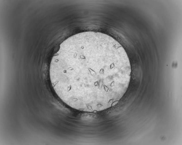 X0000099230077200805221845