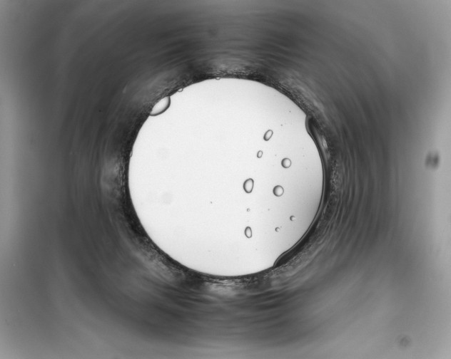 X0000099230079200805221845