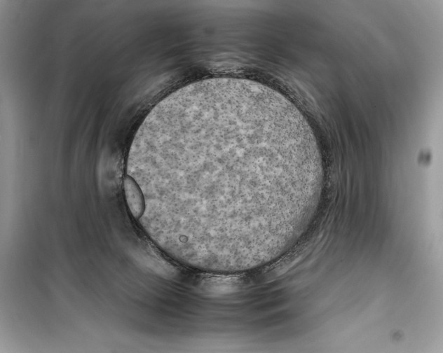 X0000099230081200805221845