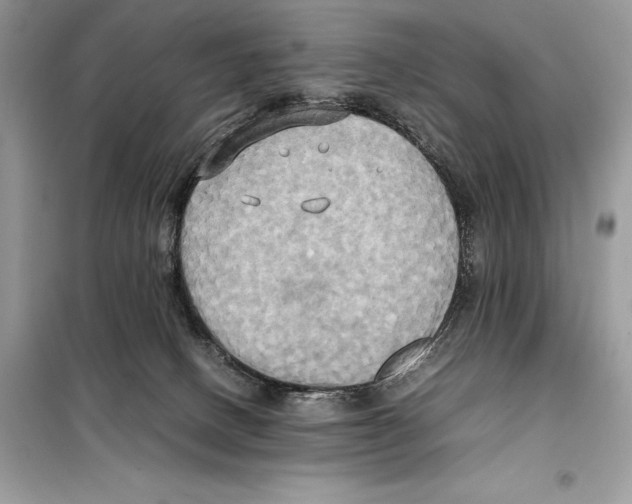 X0000099230082200805221845