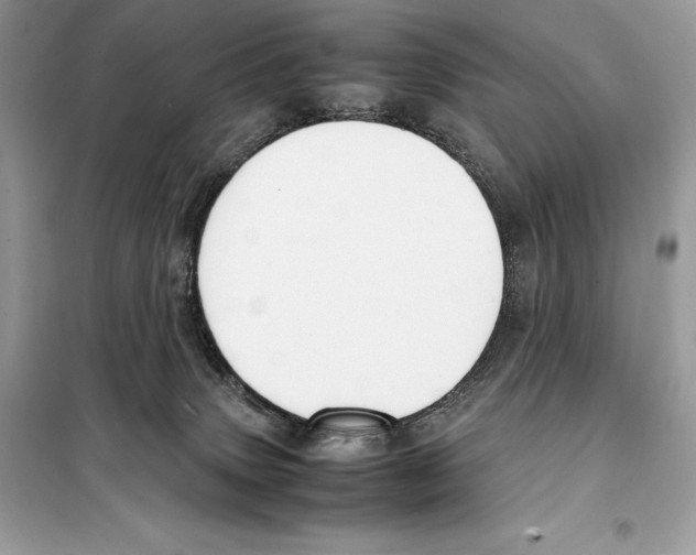 X0000099230083200805221845