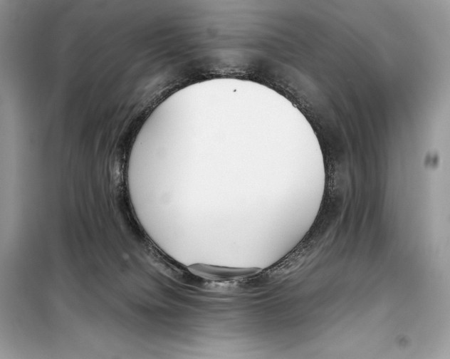 X0000099230084200805221845