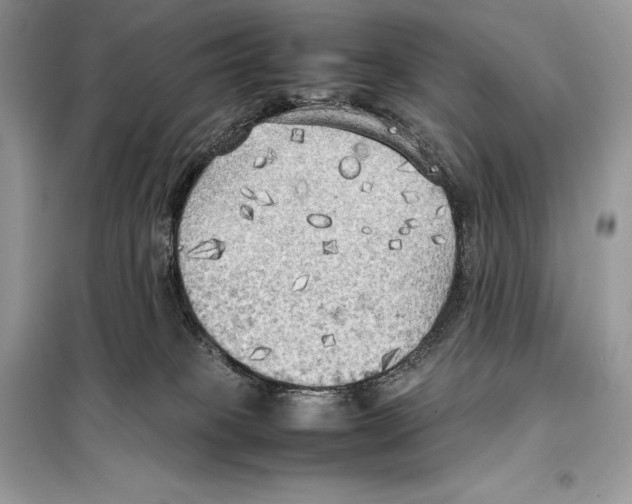 X0000099230085200805221845