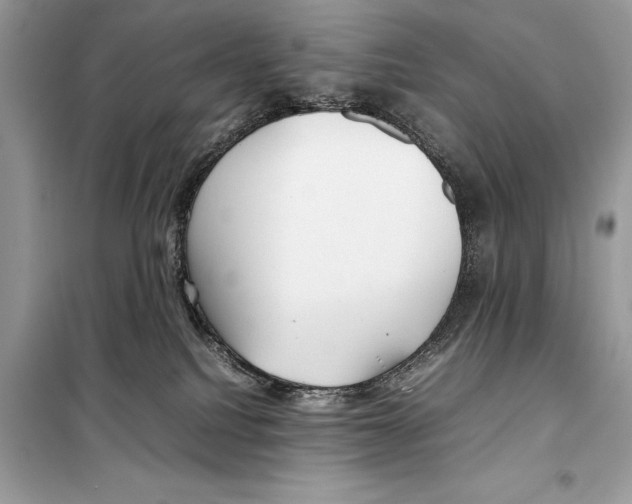 X0000099230088200805221845