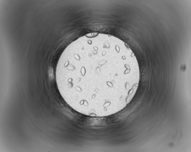 X0000099230089200805221845