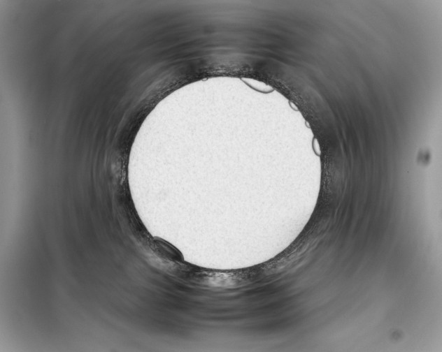 X0000099230091200805221845