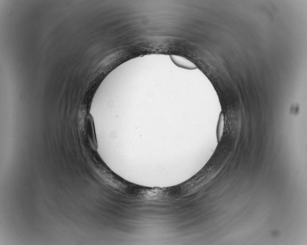 X0000099230092200805221845