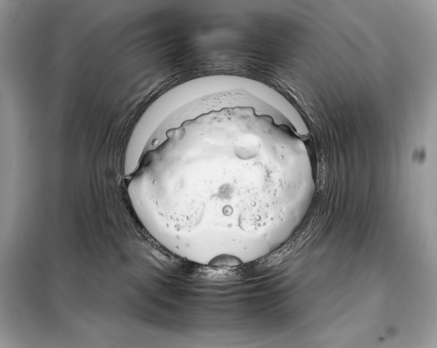 X0000099230093200805221845