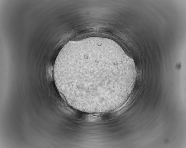 X0000099230094200805221845