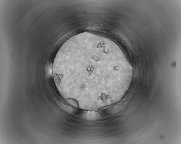 X0000099230095200805221845