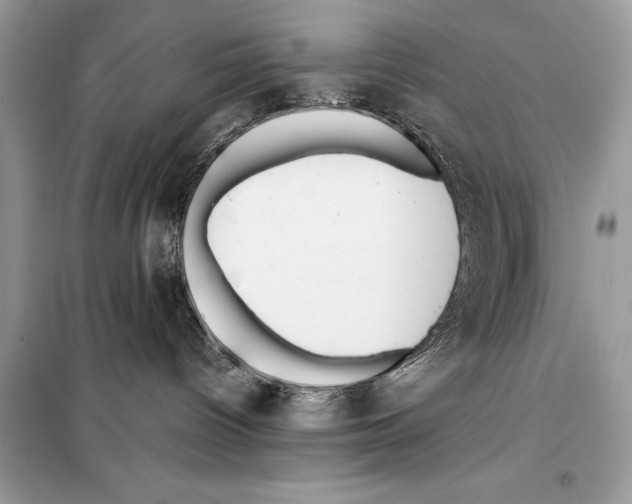 X0000099230096200805221845