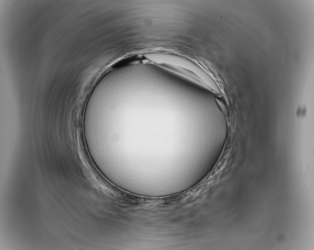 X0000099230097200805221844