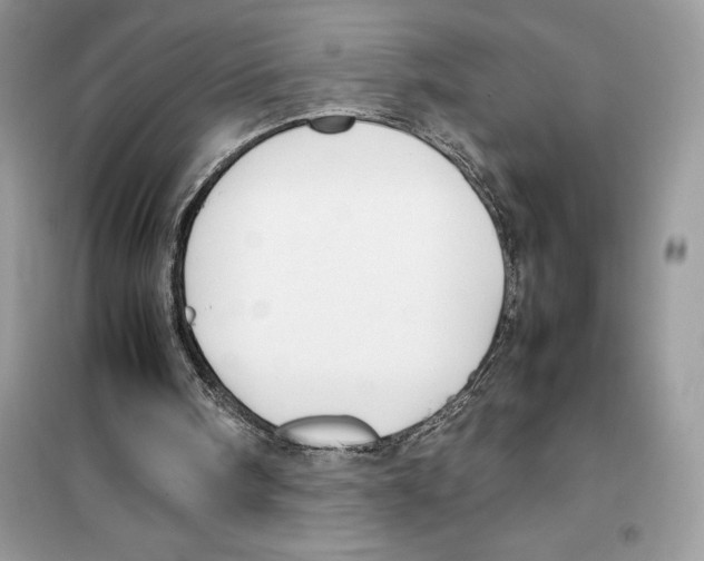 X0000099230098200805221844