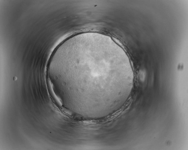 X0000099230100200805221844