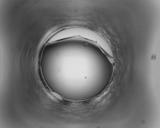 X0000099230101200805221844