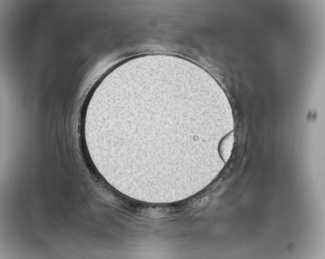 X0000099230103200805221844