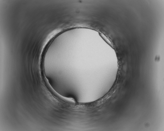 X0000099230104200805221844