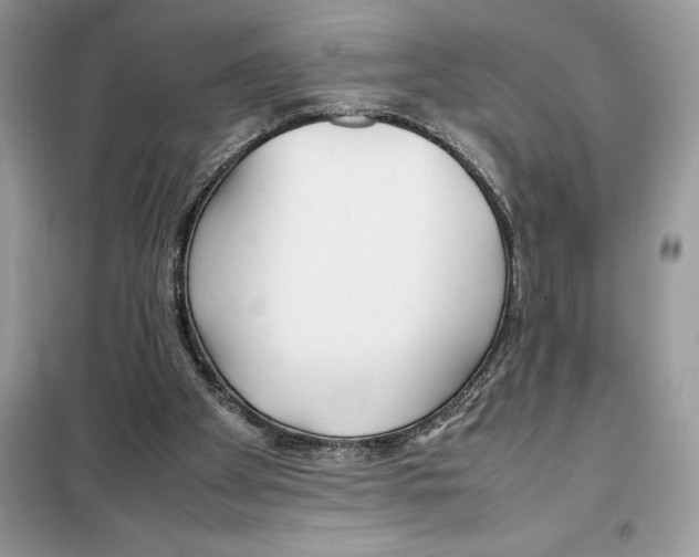 X0000099230105200805221844