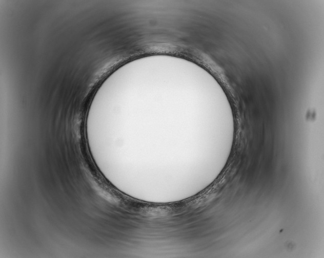 X0000099230106200805221844