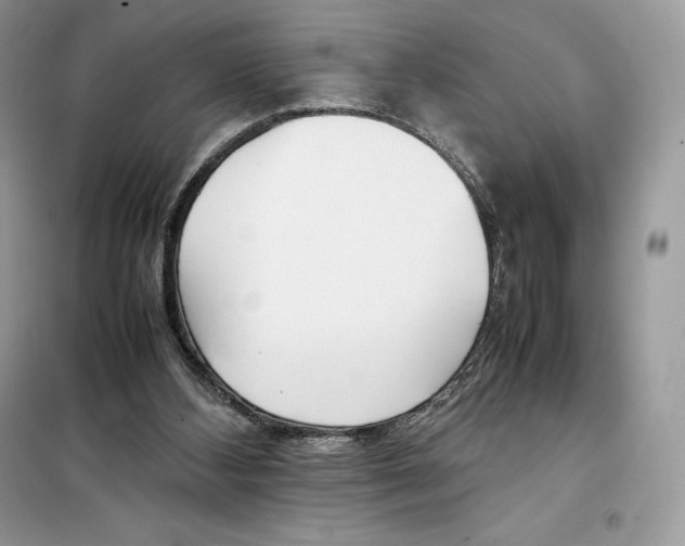 X0000099230108200805221844