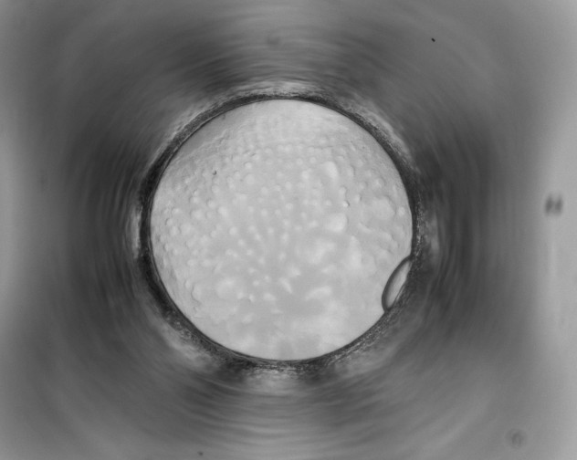 X0000099230110200805221844