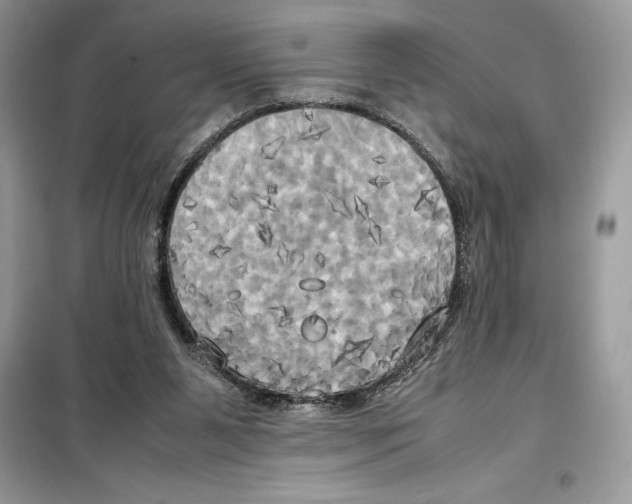 X0000099230111200805221844