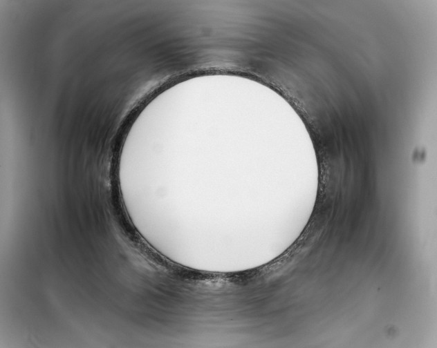 X0000099230112200805221844