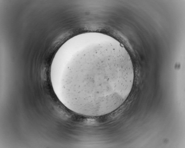 X0000099230114200805221844