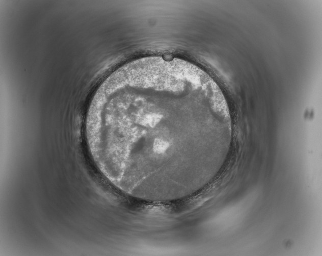 X0000099230115200805221844