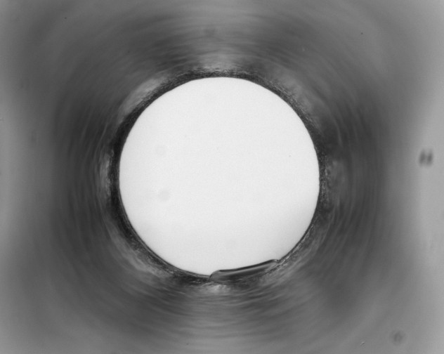 X0000099230116200805221844