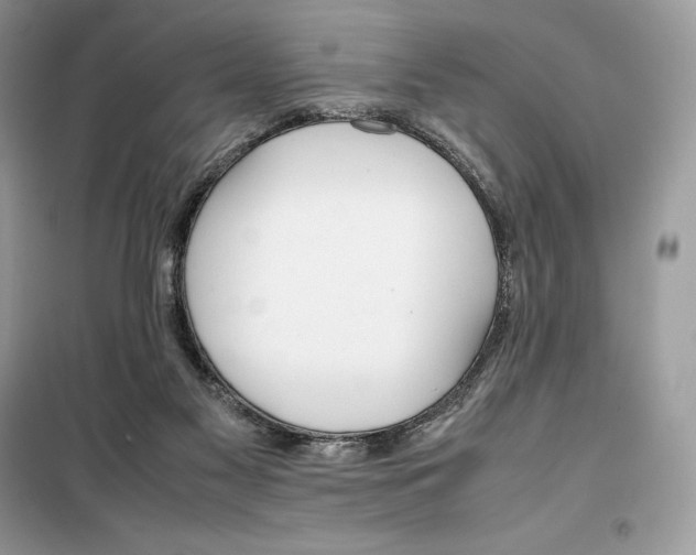 X0000099230117200805221844