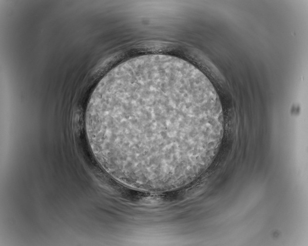 X0000099230119200805221844