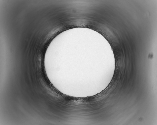 X0000099230120200805221844