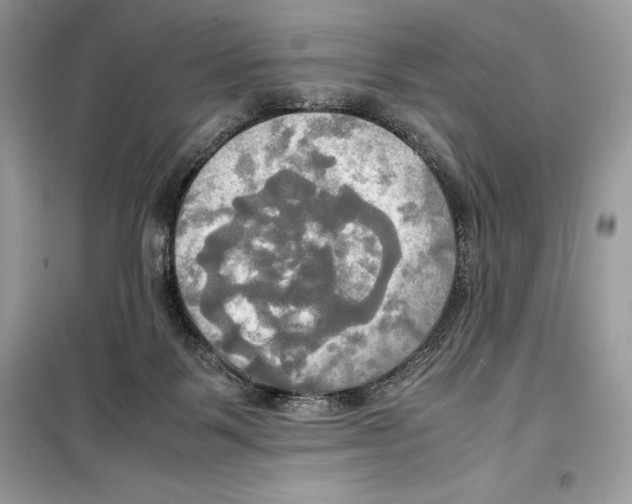 X0000099230123200805221844