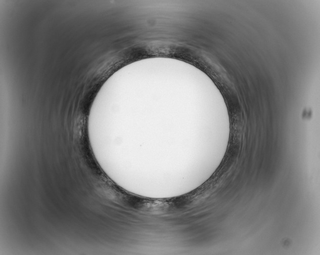 X0000099230125200805221844