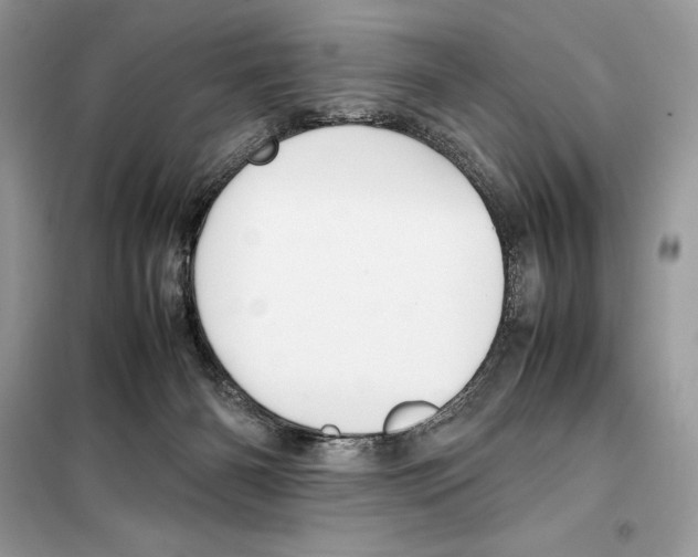 X0000099230126200805221844