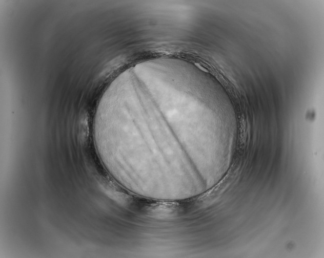 X0000099230128200805221844