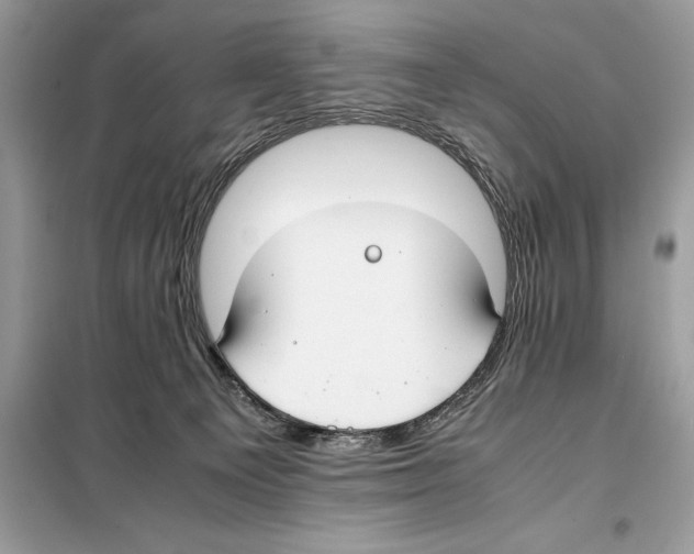 X0000099230129200805221844