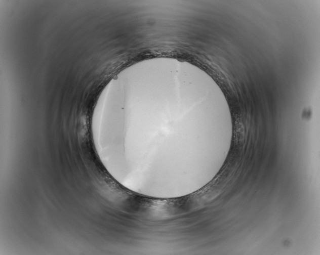 X0000099230130200805221844