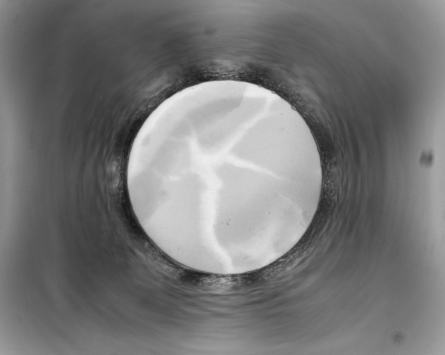 X0000099230131200805221844